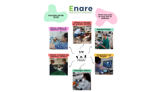 Processo seletivo do Programa de Residência Integrada em Medicina Veterinária 2023 será realizado via ENARE